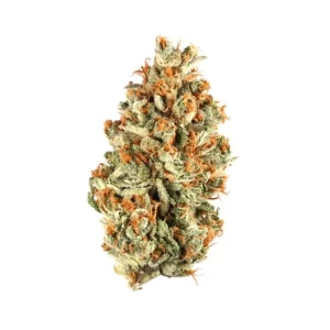 Cheese Candy