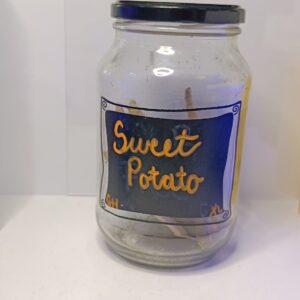 Sweet Potato XL greenhouse