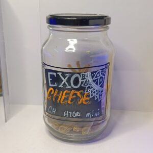 Exo Cheese Greenhouse mini 1G