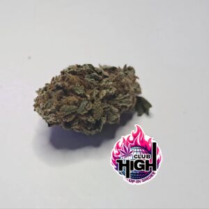 Caramel Apple Cookies