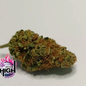 Blockberry