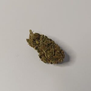 Frozen Bag
