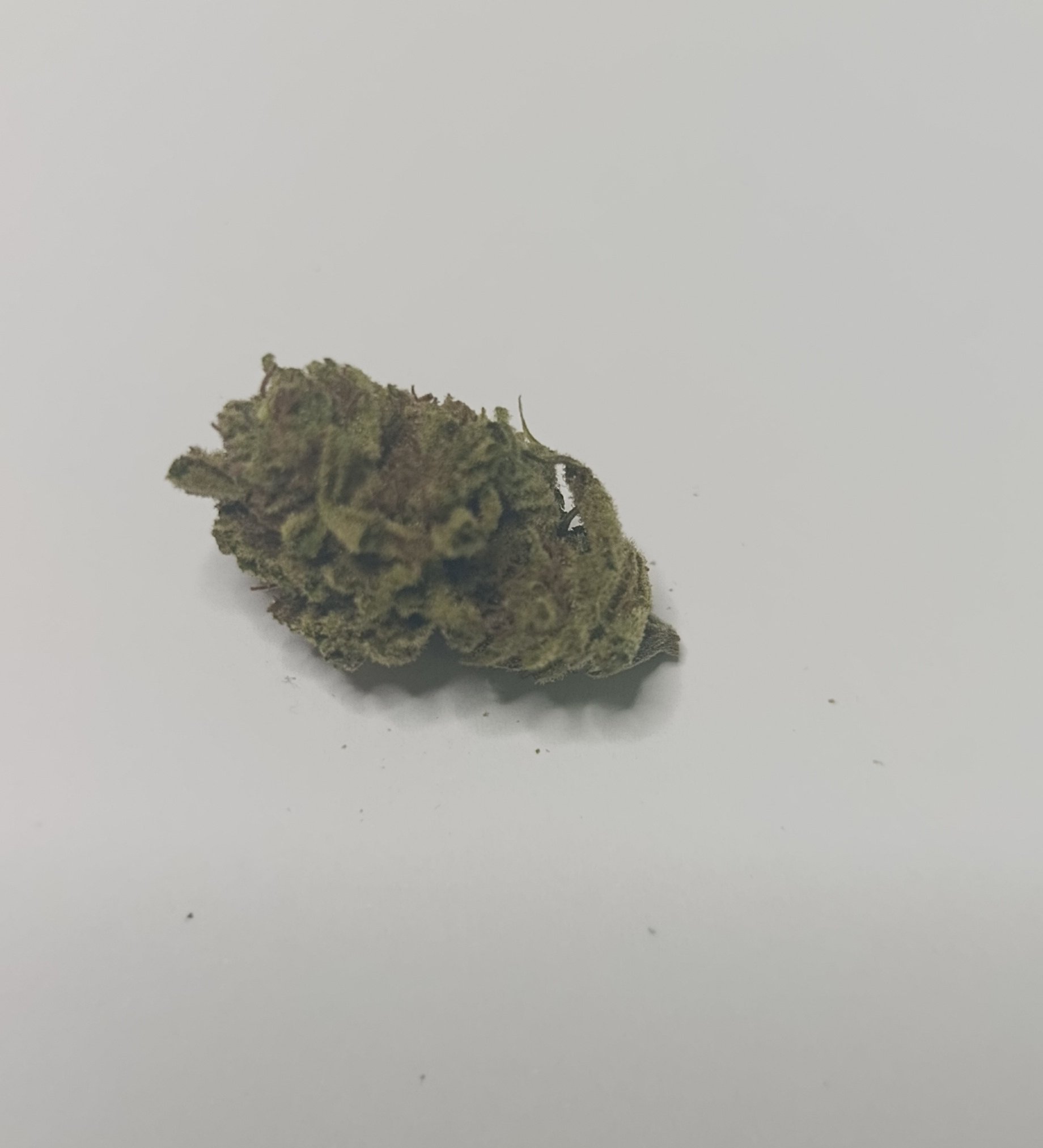 Rhino Butter