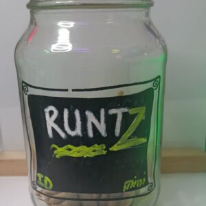 Runtz Mini Joint