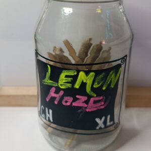 Lemon Haze XL Greenhouse