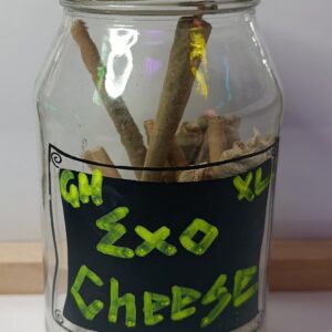 Exo Cheese XL Greenhouse