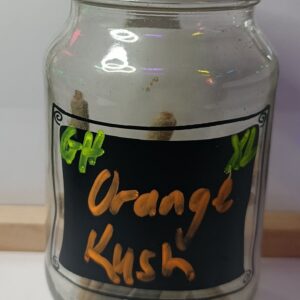 Orange Kush XL Greenhouse