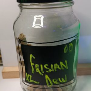 Frisian Dew