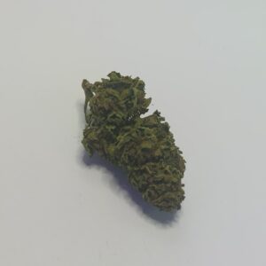 Blueberry Widow
