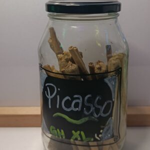 Picasso XL Greenhouse